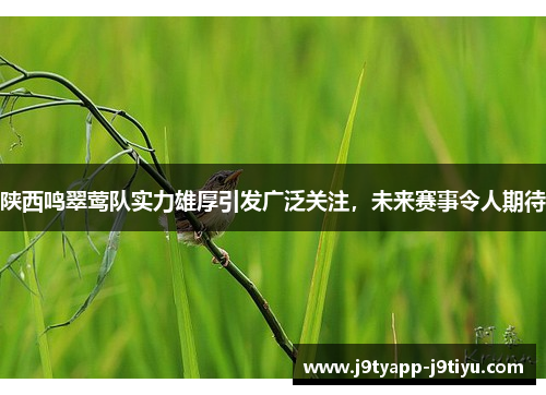 陕西鸣翠莺队实力雄厚引发广泛关注，未来赛事令人期待