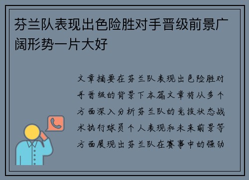 芬兰队表现出色险胜对手晋级前景广阔形势一片大好