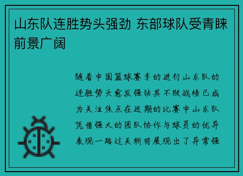 山东队连胜势头强劲 东部球队受青睐前景广阔