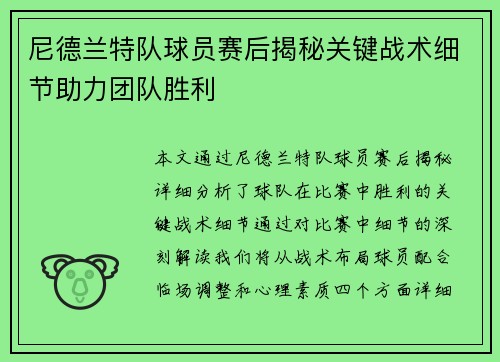 尼德兰特队球员赛后揭秘关键战术细节助力团队胜利