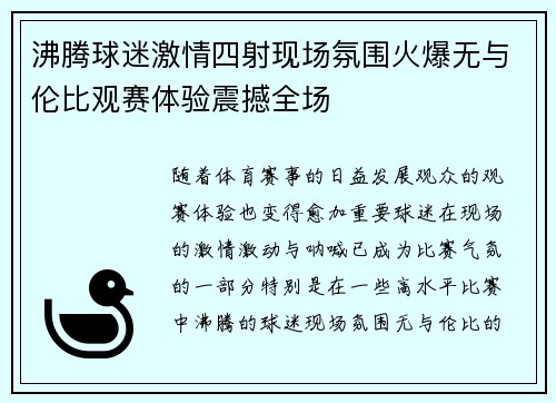 沸腾球迷激情四射现场氛围火爆无与伦比观赛体验震撼全场